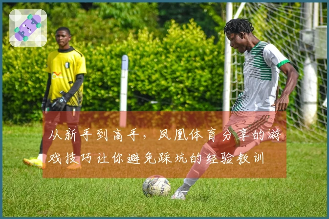 从新手到高手，凤凰体育分享的游戏技巧让你避免踩坑的经验教训