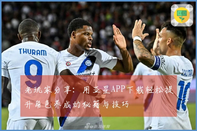 老玩家分享：用亚星APP下载轻松提升角色养成的秘籍与技巧