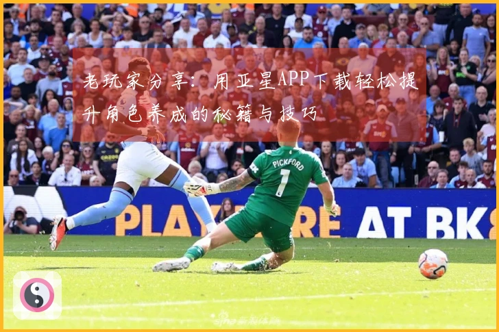 老玩家分享：用亚星APP下载轻松提升角色养成的秘籍与技巧